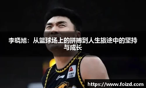 BB贝博